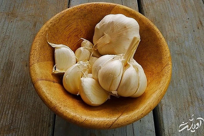 ضد درد گیاهی سیر